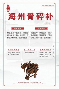 海州骨碎补中药材介绍