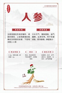 人参介绍页