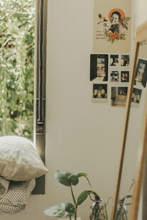 温馨角落绿植与照片相伴