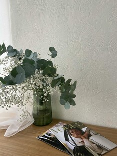 绿植装点的静谧桌面角落