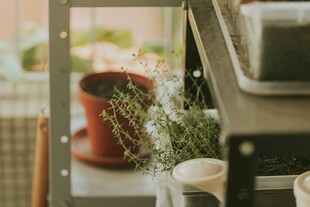 室内绿植盆栽一角