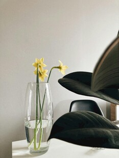 简约花瓶中的黄色小花