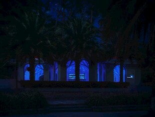 夜晚蓝光照耀下的林间景象