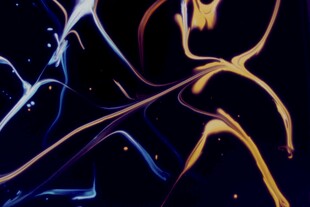 抽象艺术流体色彩图案