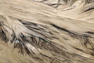 柔软蓬松的动物毛发纹理