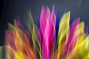 梦幻炫彩抽象花卉图案