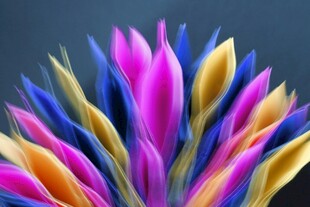 绚丽多彩的羽毛花状造型