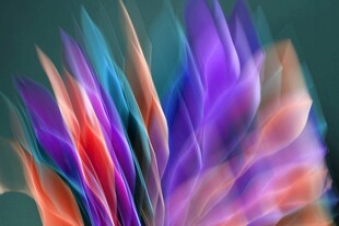 绚丽多彩的动感抽象图案