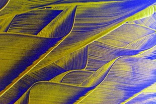 抽象蓝黄交织纹理图案