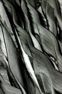 黑白纹理抽象艺术图案