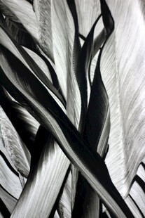 黑白丝状纹理抽象图案