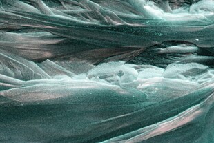 堆积的绿色塑料袋