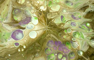 梦幻多彩微观植物纹理