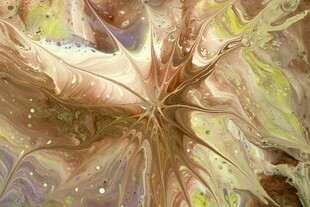 梦幻植物艺术插画