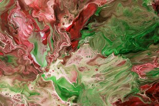 多彩斑斓的叶片纹理