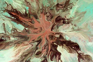 抽象艺术风格的绽放图案