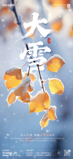 二十四节气大雪海报