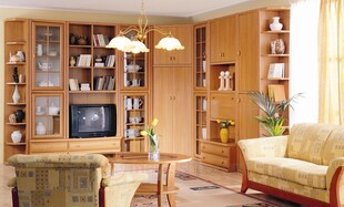 温馨舒适的客厅家居场景