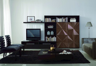 现代简约风格客厅展示