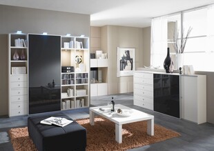 现代简约风格客厅家居展示