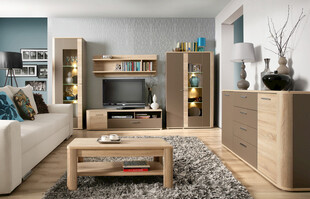 现代简约风客厅家具展示