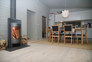 现代简约风室内壁炉场景