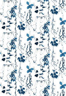 蓝白花卉飞鸟图案背景