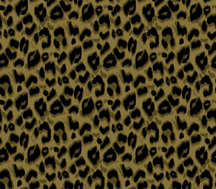 豹纹图案背景纹理