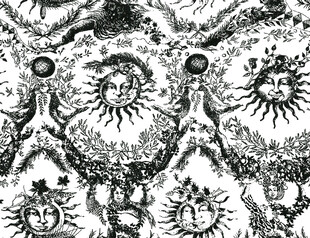 黑白抽象细胞图案纹理