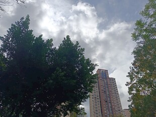 绿树掩映下的高楼