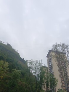 山间高楼与葱郁植被景观