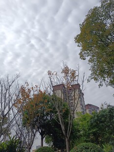 云雾中隐约可见的建筑