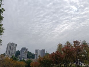 秋日城市上空的云层景观