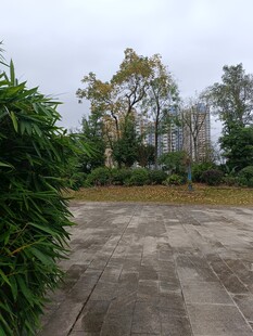 户外水泥空地与绿植景观