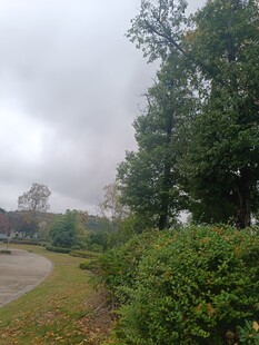 郊外绿意盎然的小路