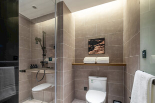 现代简约风格卫生间一角