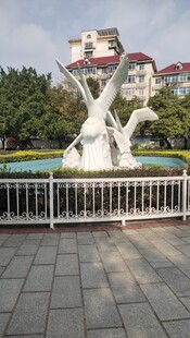 三明 地标 天鹅