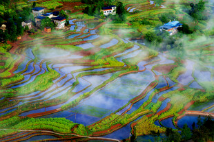 太安多彩梯田