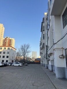 城市街道旁的低矮居民楼