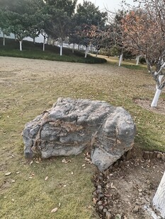 草坪上的独块景观石