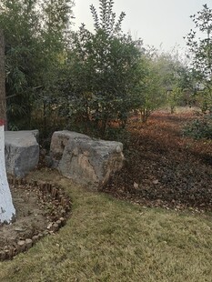 户外园林景观中的石块绿植