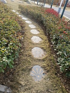 石板小径穿行绿植间