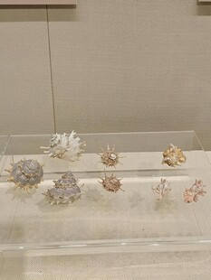 精美古代饰品展示