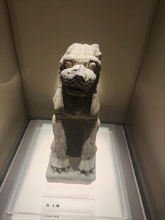 古代石狮子雕塑展示