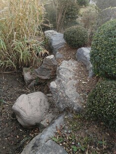 日式庭院石景与绿植景观