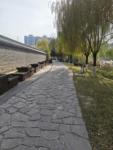 石板小径旁的葱郁绿树