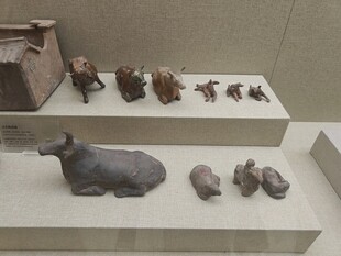 古代陶制动物摆件展示