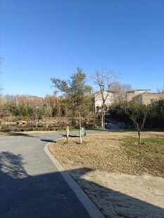 冬日户外静谧休闲场景