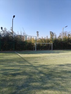 户外绿茵足球场场景