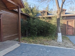 庭院一角绿植环绕景致佳